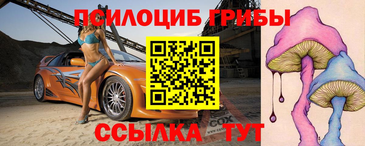 Галлюциногенные грибы прущие грибы Каспийск