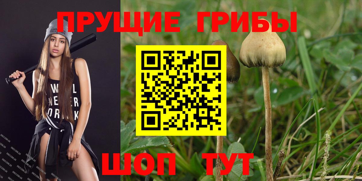 Каспийск  Псилоцибиновые грибы ЛСД  Вход с VPN  Галлюциногенные грибы мицелий 
